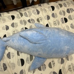 サメぬいぐるみの画像