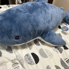 サメぬいぐるみの画像