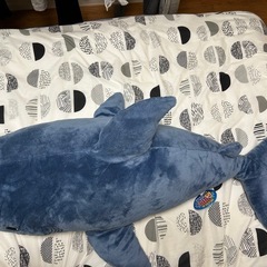 サメぬいぐるみの画像