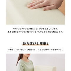 板橋区直接引渡し ペット用階段PVCレザー1000円の画像