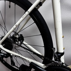 TREK Domane AL Disc ロードバイク 室内保管 美品 走行1200kmの画像