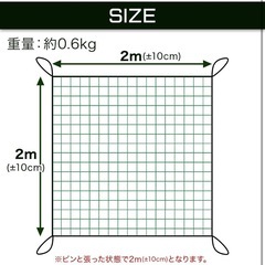 耐久ゴルフネット✨自宅練習用 グリーン 2m×2mの画像