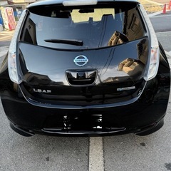 日産リーフ30x 9セグ残りの画像