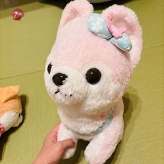 豆柴三兄弟　ぬいぐるみ3体セット　豆柴　小梅　の画像