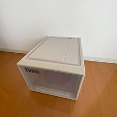 フィッツ（Fits）ケース クローゼット L-53（クローゼット用）【白2】の画像
