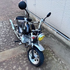 中華 モンキー 125cc ゴリラの画像