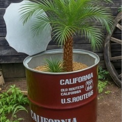 ドラム缶リメイクプランターの画像