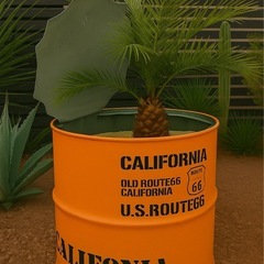 ドラム缶リメイクプランターの画像