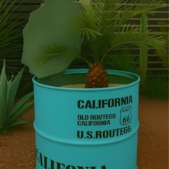 ドラム缶リメイクプランターの画像