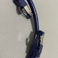 ELECOM CAT8 LANケーブル 1m
 の画像