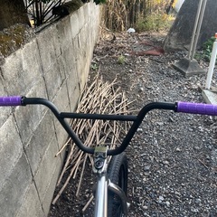 bmx街乗り仕様「メンテナンス済み」の画像