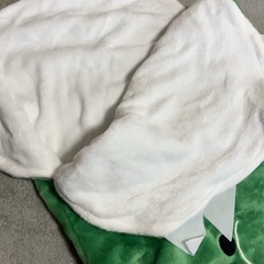 ワニの着ぐるみの画像
