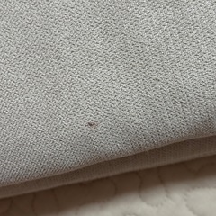 無印良品　座布団 2枚組　ニトリ　クッションカバーの画像
