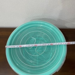 ザル
の画像