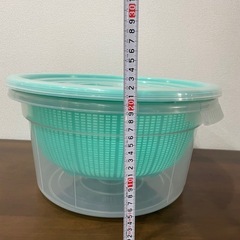 ザル
の画像