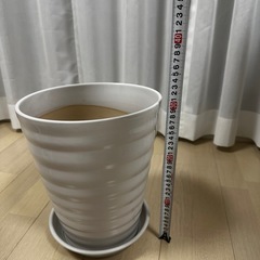 鉢植えセットの画像