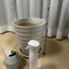 鉢植えセットの画像
