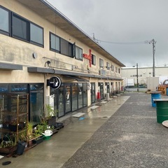 サウナ友達募集中🔥