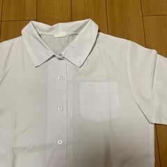ワイシャツ　ブラウス　中学生　半袖　女の子の画像