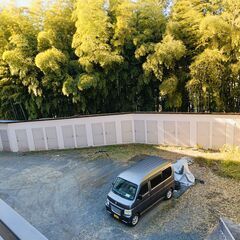 竹を欲しい方　差し上げます。の画像