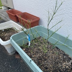土とプランターの画像