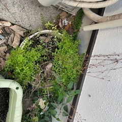 土とプランターの画像
