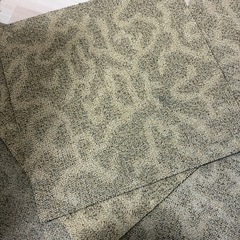 カーペット
の画像