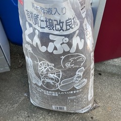 ブドウの木(巨峰)の画像