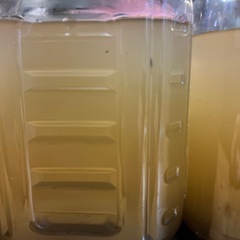 ミナミヌマエビ
の画像