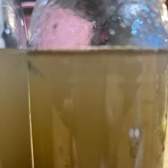 ミナミヌマエビ
の画像