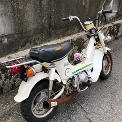 ホンダ　シャリー 50  書類付レストアベース車の画像