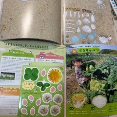【4月8月未使用】ひかりのくに 2024 こどもとしぜん　4〜12月の画像