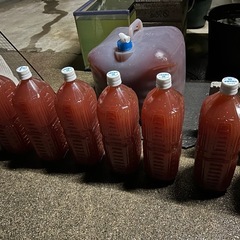 ゾウリムシサービス中　5倍濃縮 PSB光合成細菌500ml〜20ℓ以上の画像