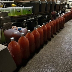 ゾウリムシサービス中　5倍濃縮 PSB光合成細菌500ml〜20ℓ以上の画像
