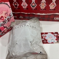【正規品】SKULLPANDA Winter Symphony(Song of Snow)の画像