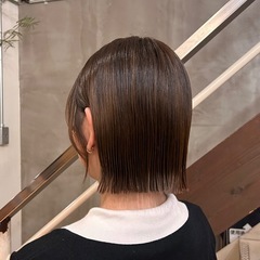 カットモデル