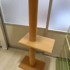 キャットタワーの画像