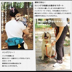 新品未使用⭐️犬用お散歩バッグ　デュアルDバックル付きの画像