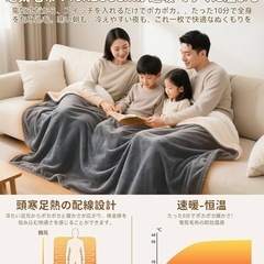 新品！！電気毛布 140x200cm グレー丸洗い可 膝掛けブランケットの画像