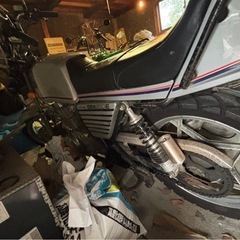 GSX250Eザリ　極上！の画像