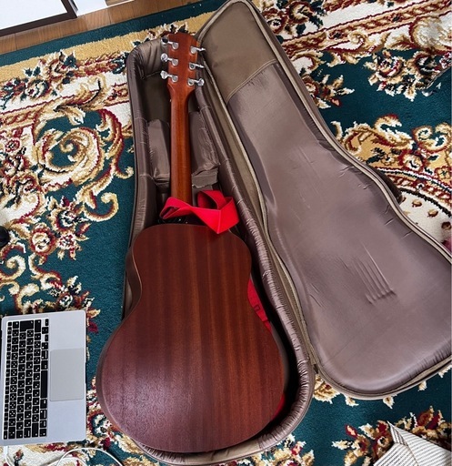Taylor
 GS mini