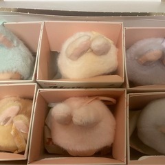 ラブブ正規品　　の画像