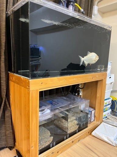 熱帯魚　大型水槽　水槽一式