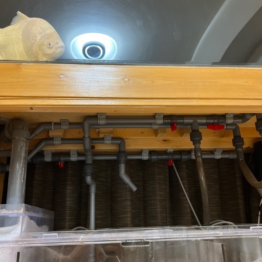熱帯魚　大型水槽　水槽一式