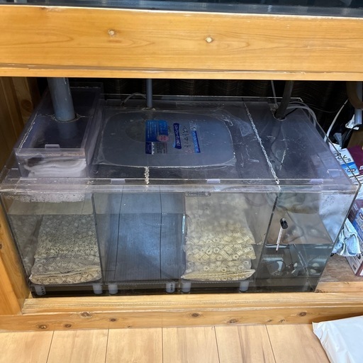 熱帯魚　大型水槽　水槽一式