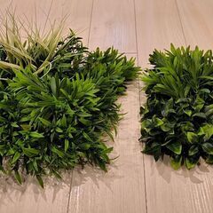 フェイクグリーン　タペストリー　自然　壁面の画像