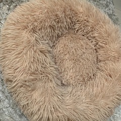 至急‼️ペット用ベッド　猫　犬の画像