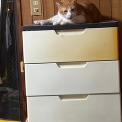 引き出しタンスの画像