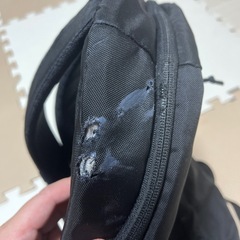 パタゴニアリュックの画像