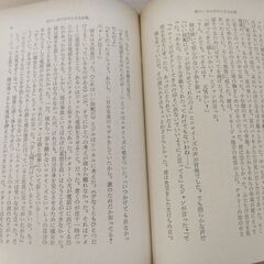『冷たい水の中の小さな太陽』サガン　新潮文庫の画像